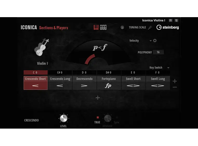 Steinberg Iconica Sections & Players [Download] 